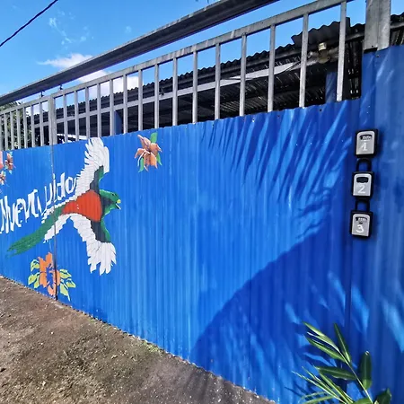 Nueva Vida Birding Paradise Puerto Jiménez Exterior photo